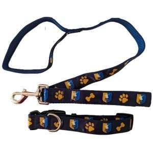 Dog Collar and Lead Set - Image 1